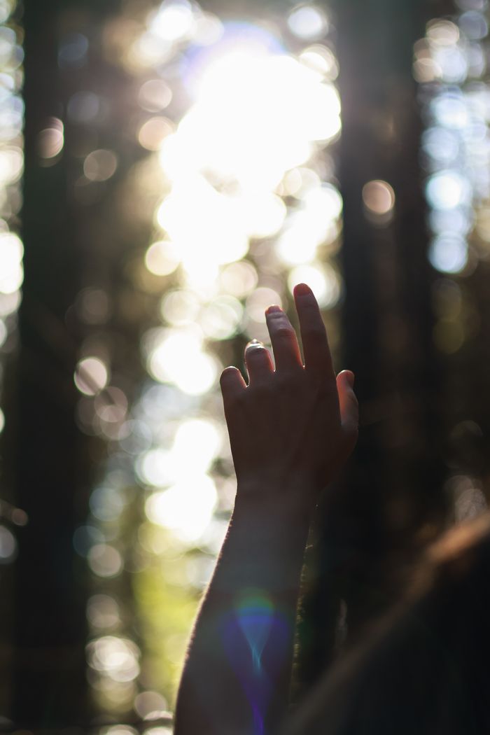 A solitary hand reaching towards the sun, framed by a bokeh-rich forest setting.