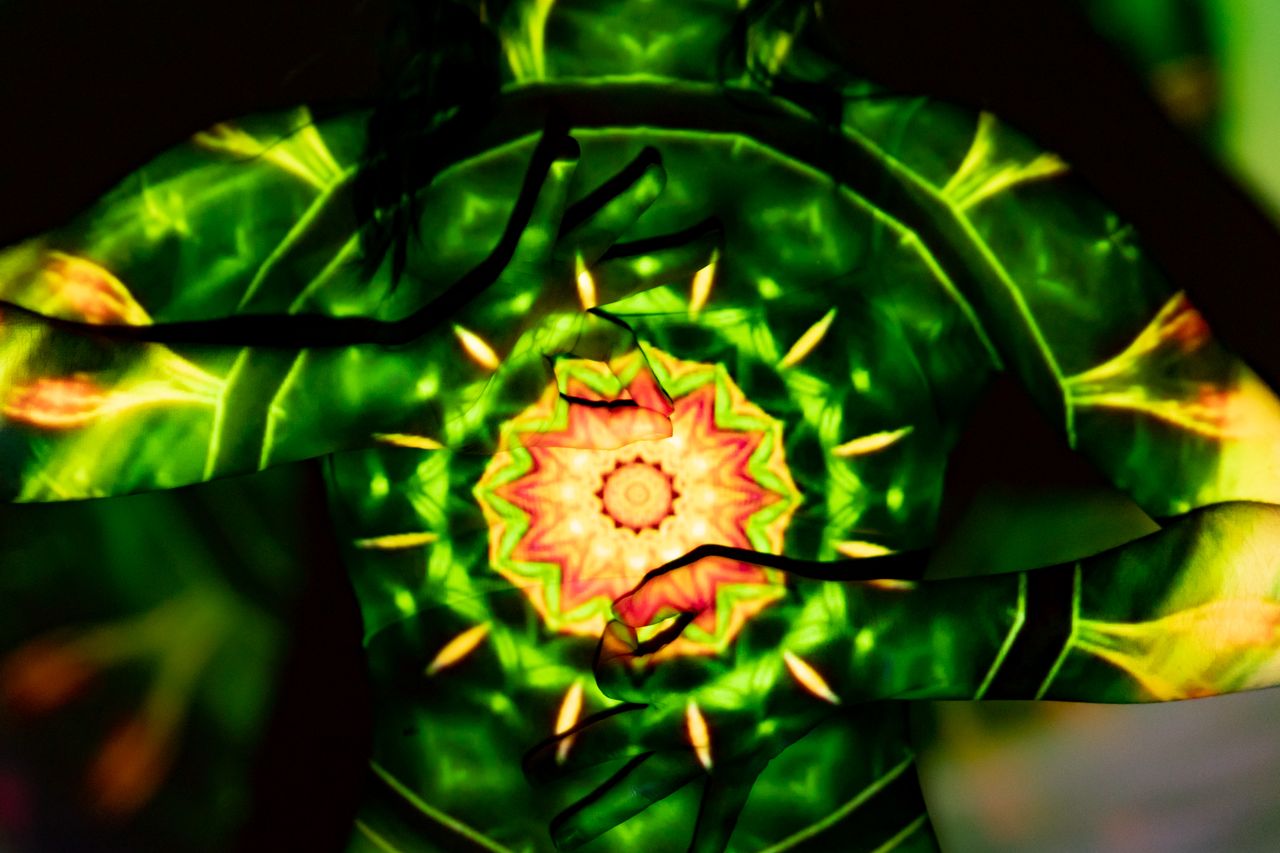 Colorful kaleidoscope projection on an unrecognizable person, highlighting mystical and psychedelic themes.